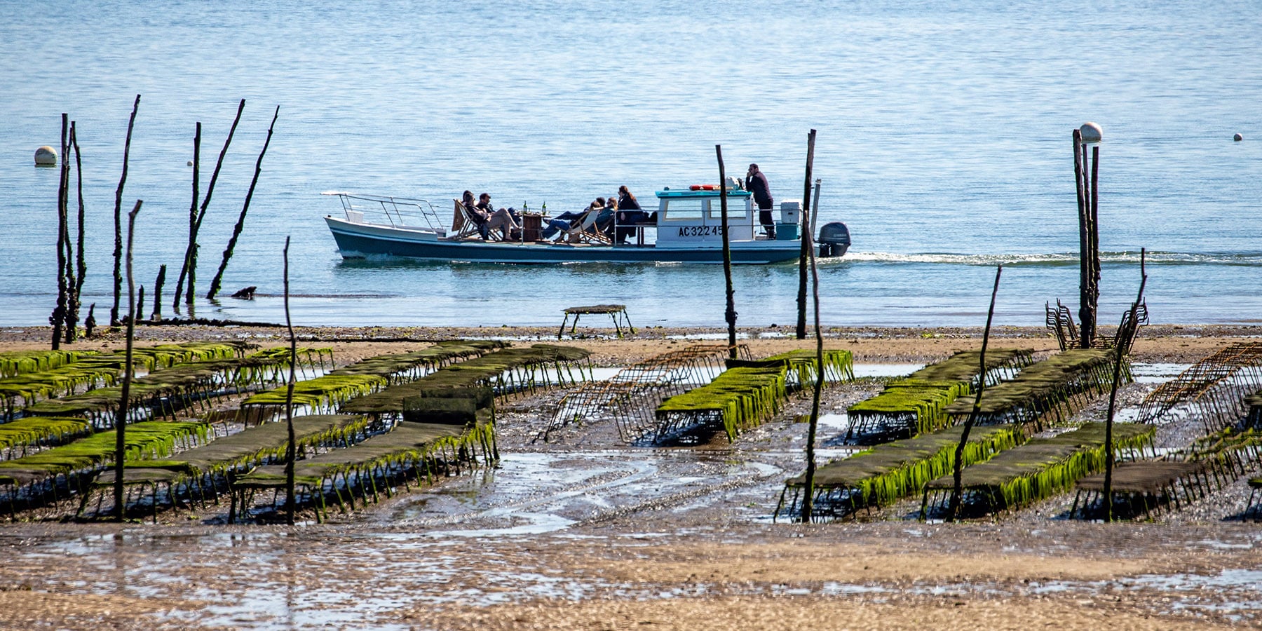 balade en chaland bateau - Arcachon Cap Ferret Bassin Arcachon - Balade sur Chaland - Balade sur Chaland 001